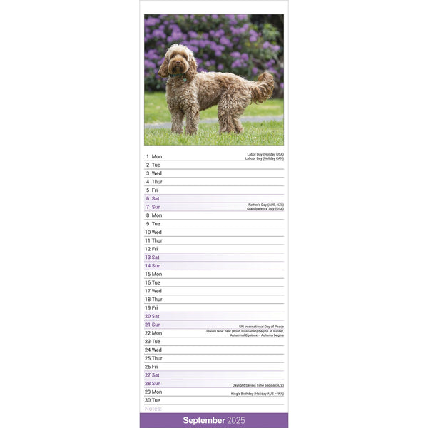 Cockapoo Calendar 2025 Slimline