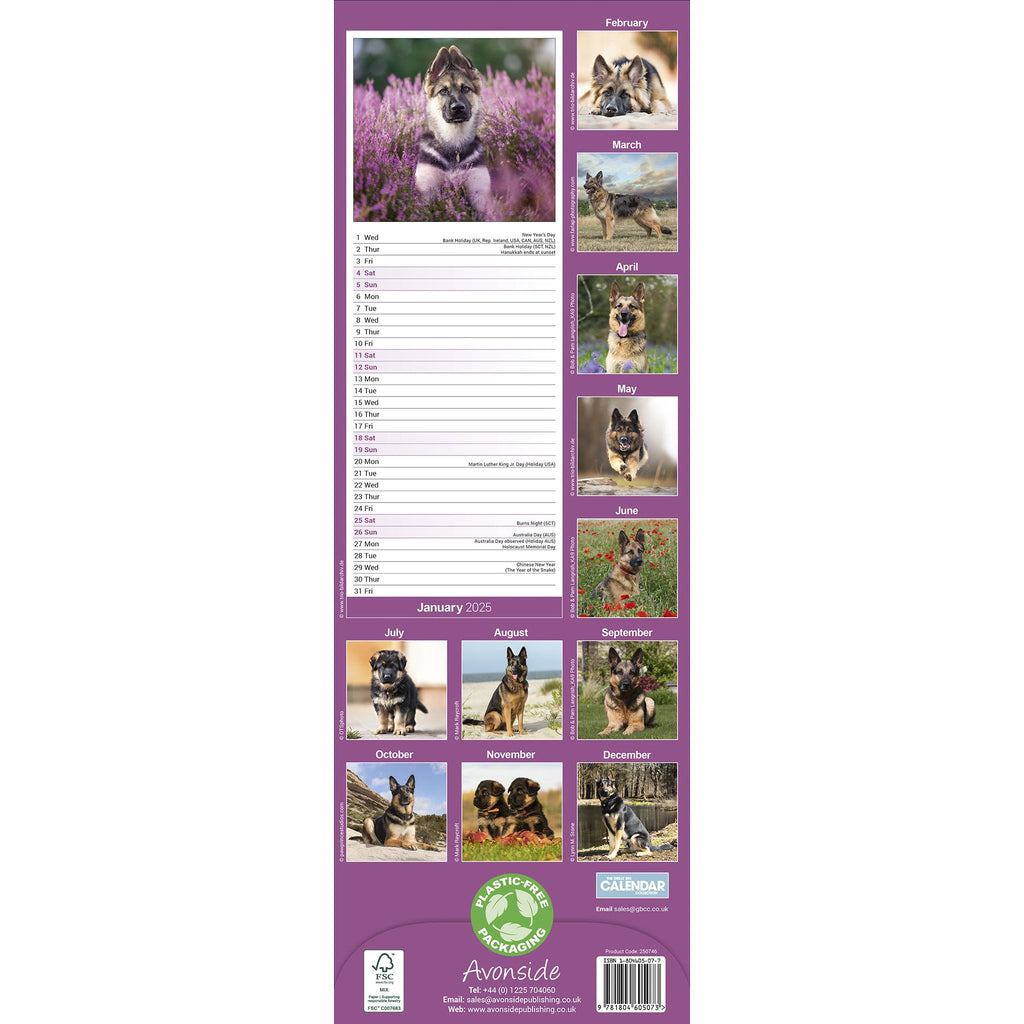 german-shepherd-calendar-2025-slimline-avonside-publishing-ltd