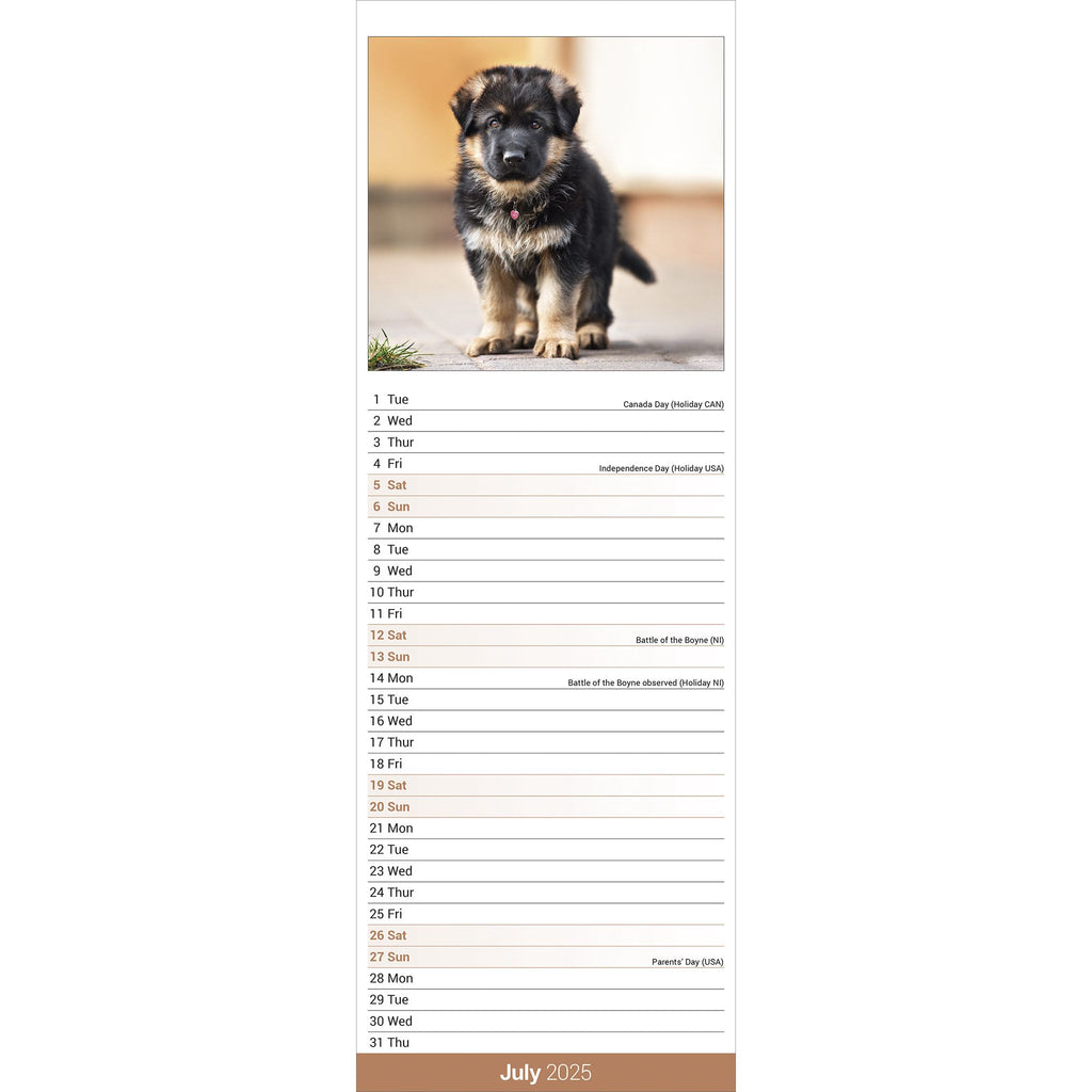 german-shepherd-calendar-2025-slimline-avonside-publishing-ltd