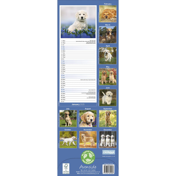 Golden Retriever Calendar 2025 Slimline