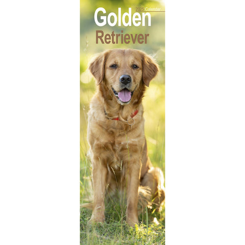 Golden Retriever Calendar 2025 Slimline