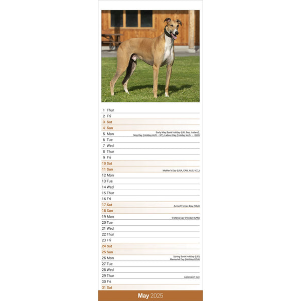 Greyhound Calendar 2025 Slimline