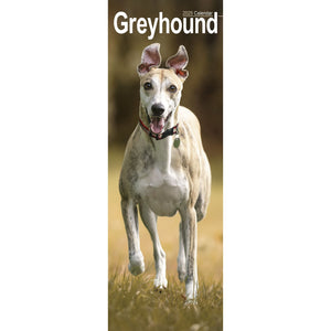 Greyhound Calendar 2025 Slimline