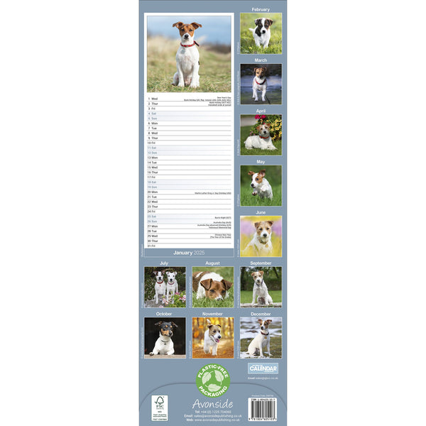 Jack Russell Calendar 2025 Slimline