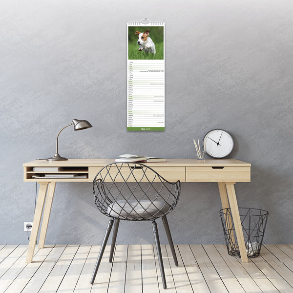 Jack Russell Calendar 2025 Slimline