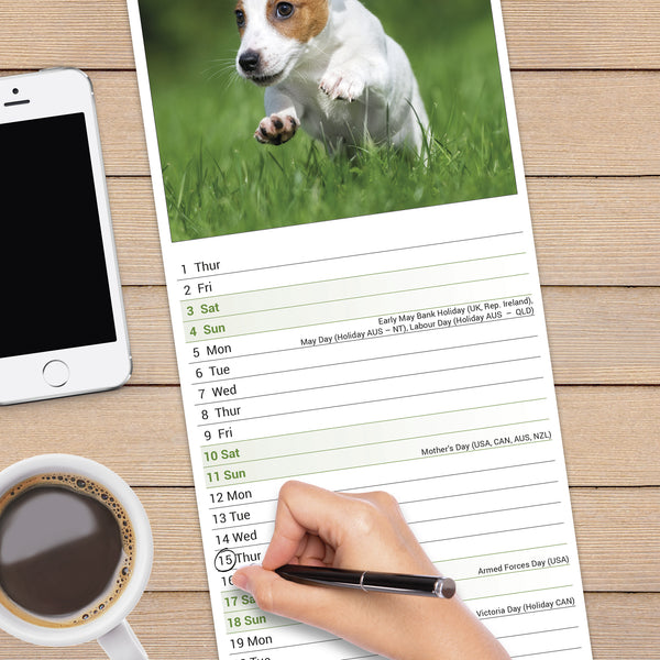 Jack Russell Calendar 2025 Slimline