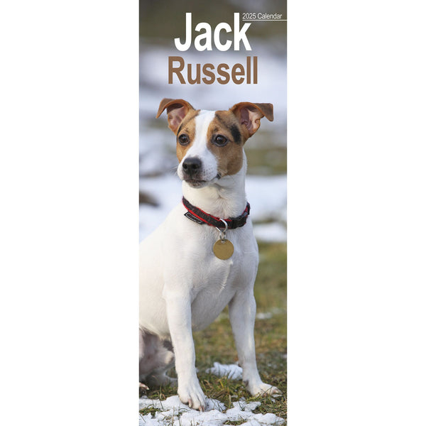 Jack Russell Calendar 2025 Slimline