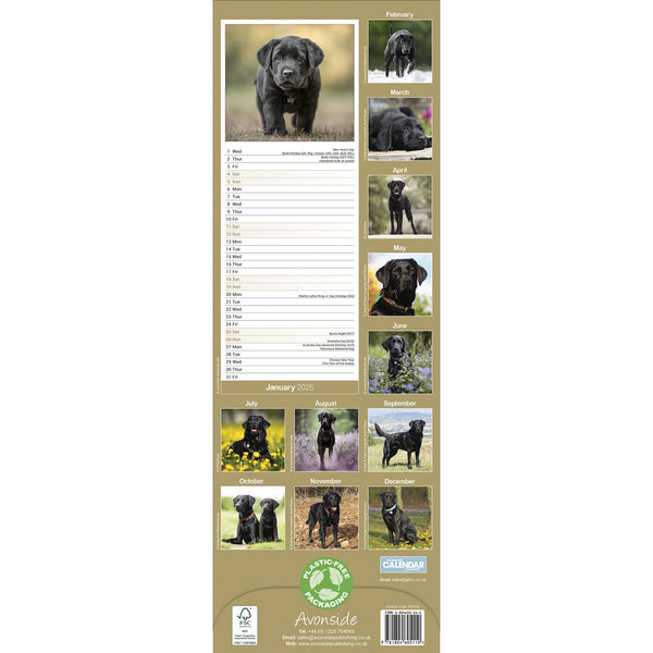 Black Labrador Retriever Calendar 2025 Slimline