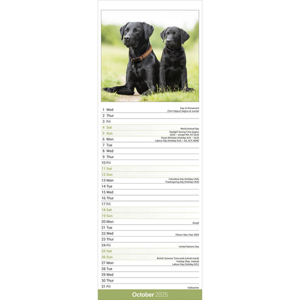 Black Labrador Retriever Calendar 2025 Slimline