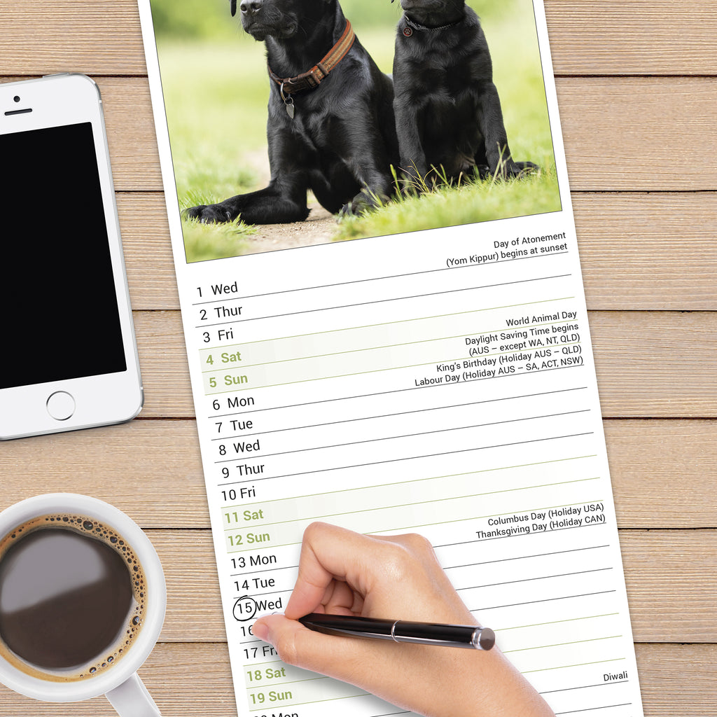 Black Labrador Retriever Calendar 2025 Slimline Avonside Publishing Ltd