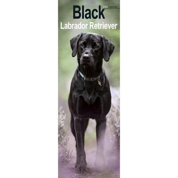 Black Labrador Retriever Calendar 2025 Slimline