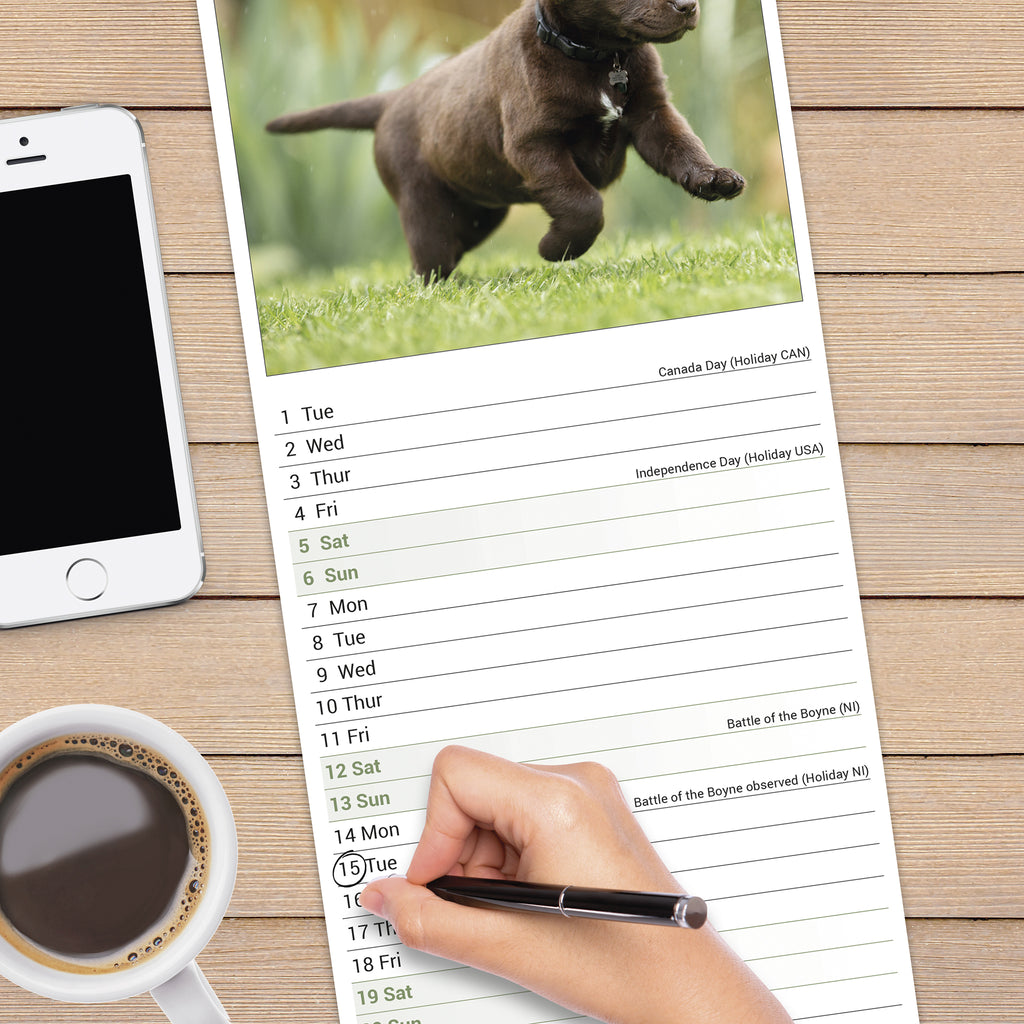 Chocolate Lab 2025 Calendar