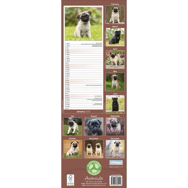 Pug Calendar 2025 Slimline