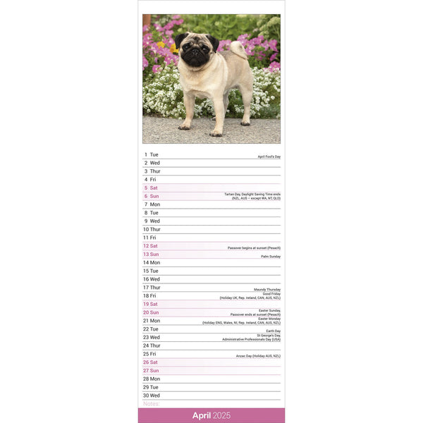 Pug Calendar 2025 Slimline