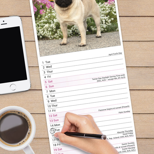 Pug Calendar 2025 Slimline