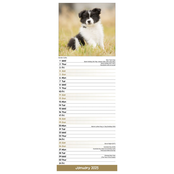 Puppies Calendar 2025 Slimline