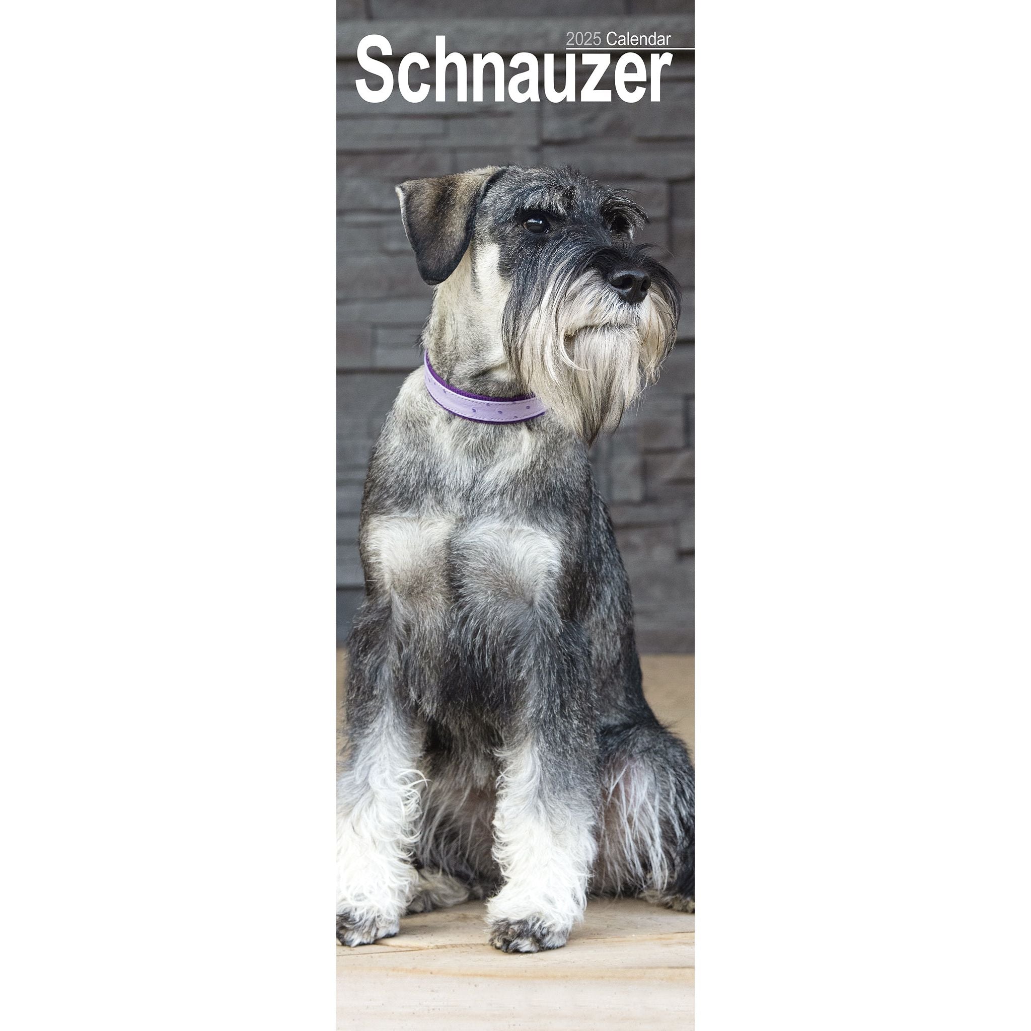 Schnauzer Calendar 2025 Slimline Avonside Publishing Ltd