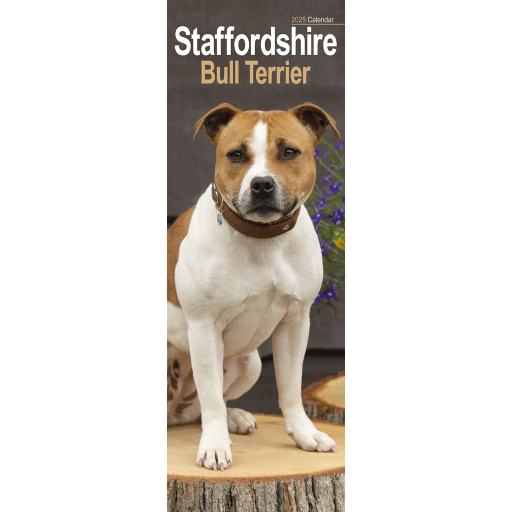 Staffordshire Bull Terrier Calendar 2025 Slimline Avonside Publishing Ltd