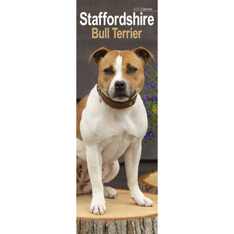 Staffordshire Bull Terrier Calendar 2025 Slimline