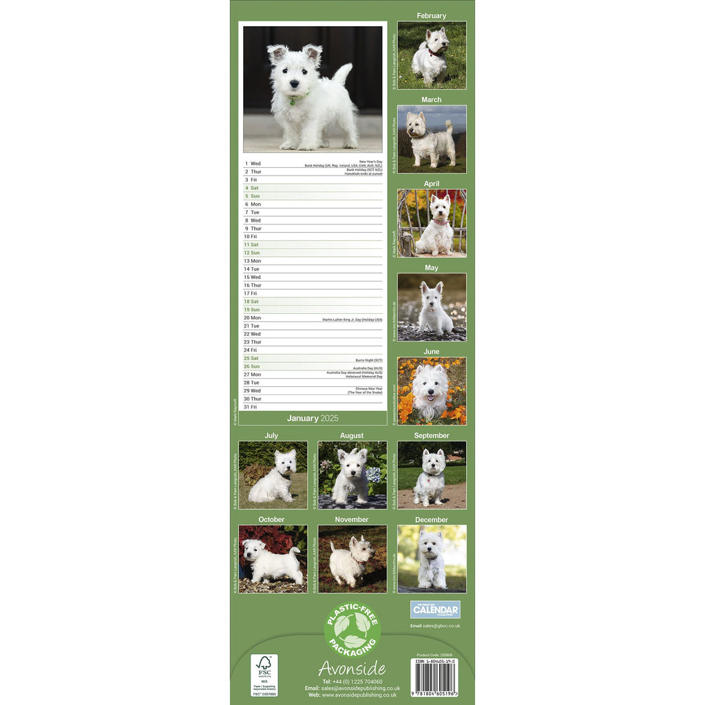 West Highland White Terrier Calendar 2025 Slimline Avonside
