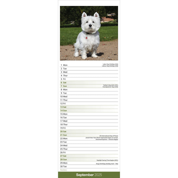 West Highland White Terrier Calendar 2025 Slimline