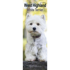 West Highland White Terrier Calendar 2025 Slimline