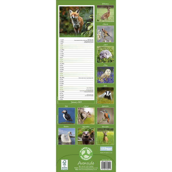 British Wildlife Calendar 2025 Slimline