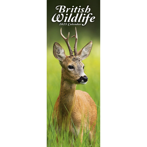 British Wildlife Calendar 2025 Slimline