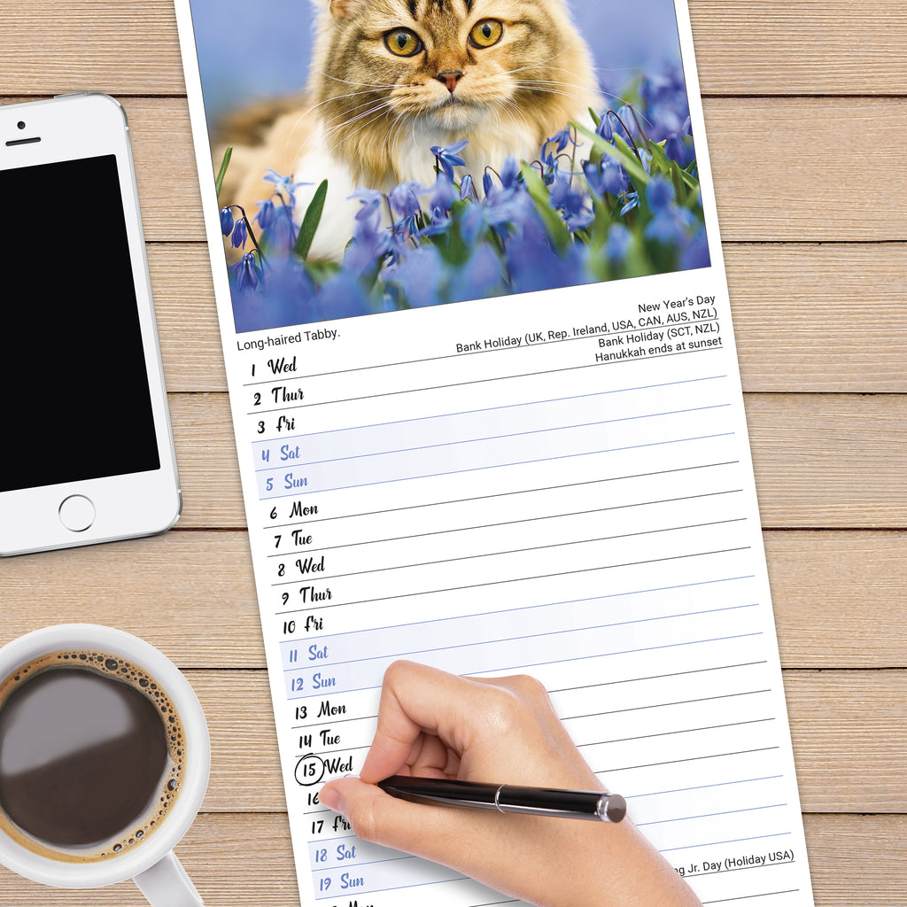 Cats Calendar 2025 Slimline Avonside Publishing Ltd