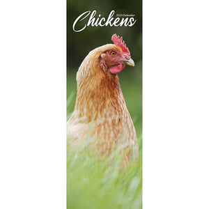 Chickens Calendar 2025 Slimline