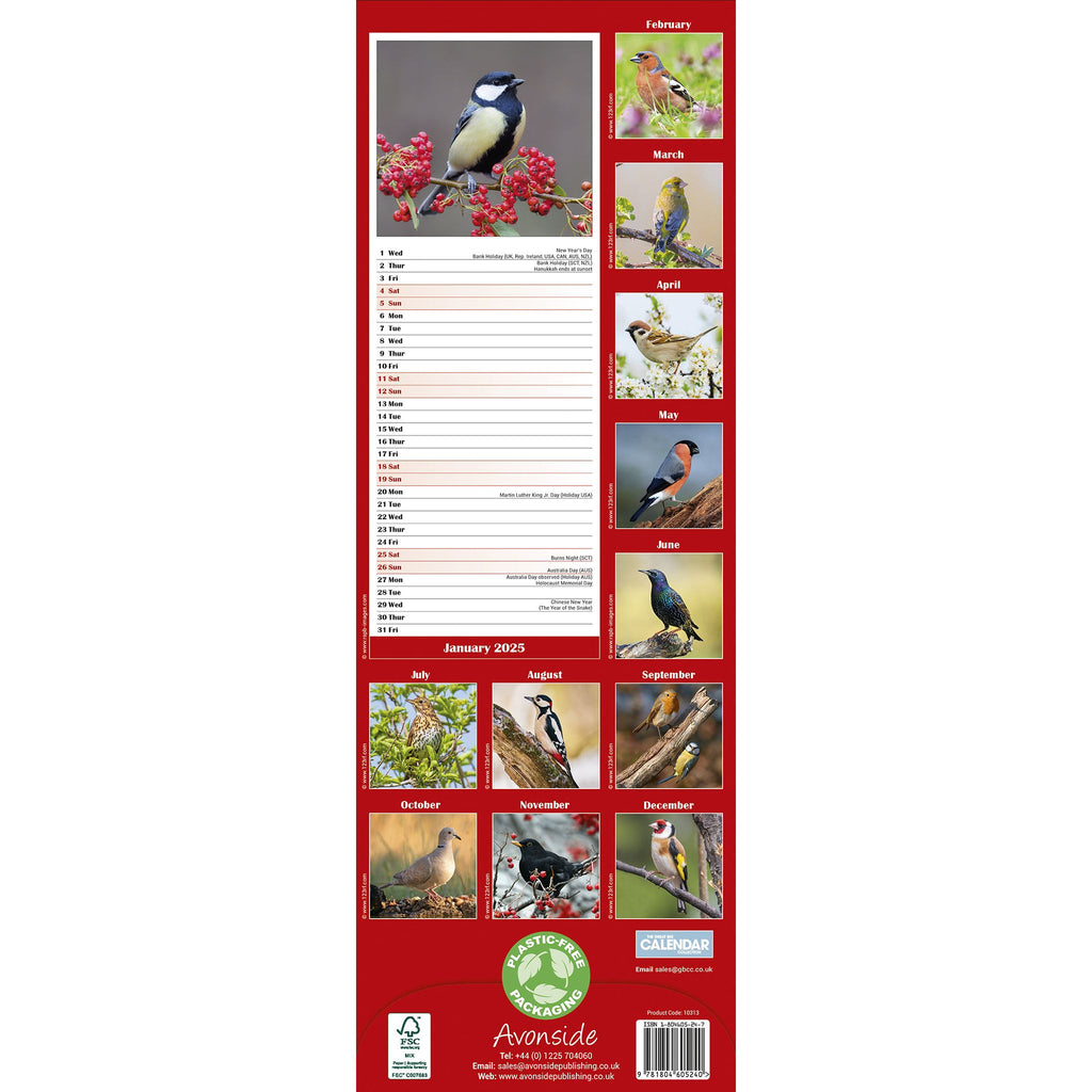 Garden Birds Calendar 2025 Slimline Avonside Publishing Ltd