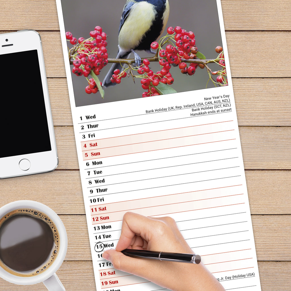 Garden Birds Calendar 2025 Slimline Avonside Publishing Ltd Slimline Photo Calendar 2025