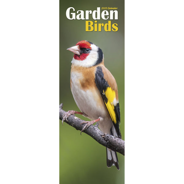 Garden Birds Calendar 2025 Slimline Avonside Publishing Ltd