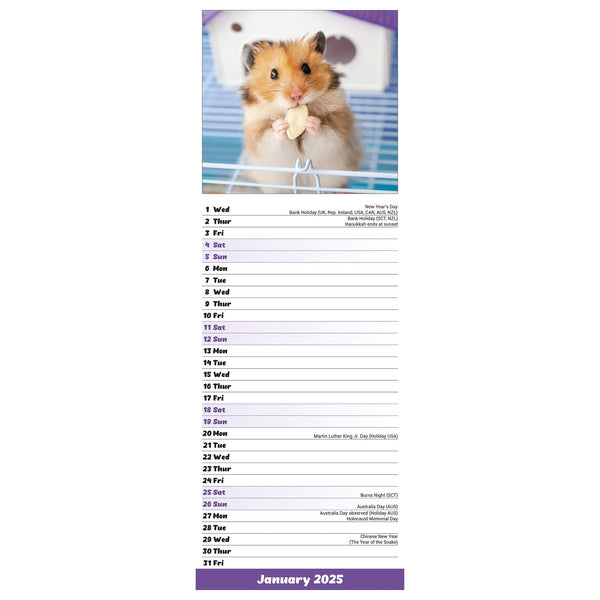 Hamsters Calendar 2025 Slimline