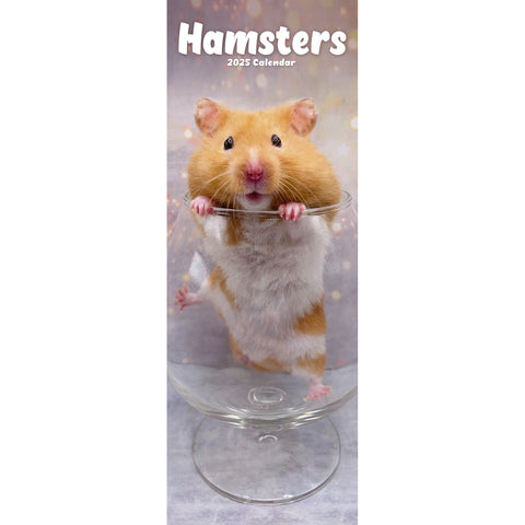 Hamsters Calendar 2025 Slimline