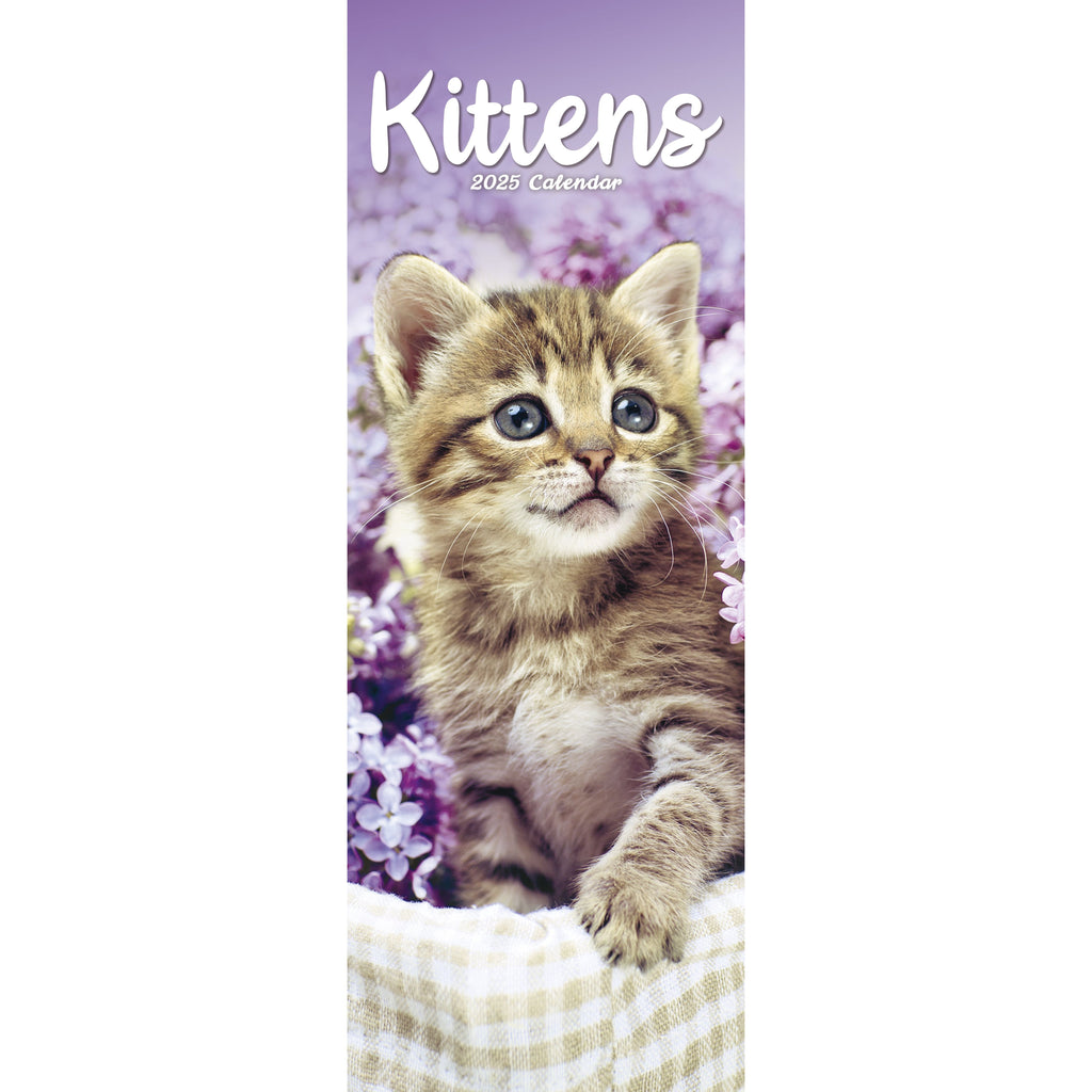 Kittens Calendar 2025 Slimline – Avonside Publishing Ltd