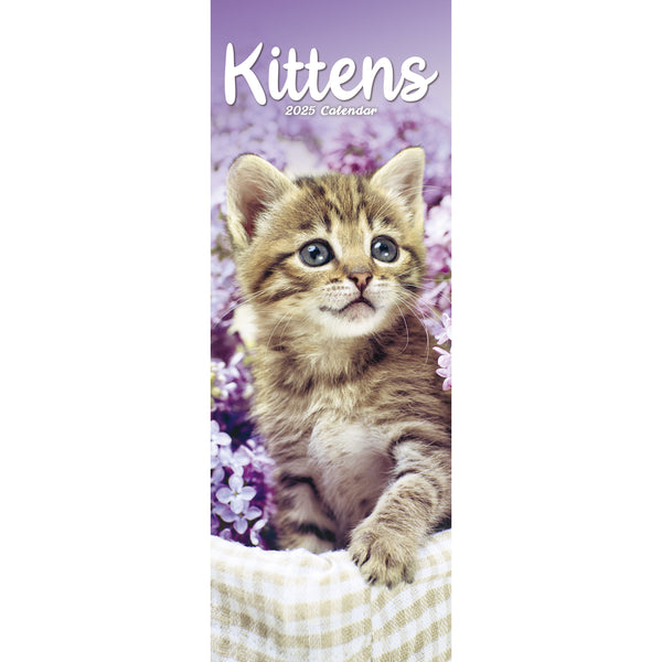 Kittens Calendar 2025 Slimline