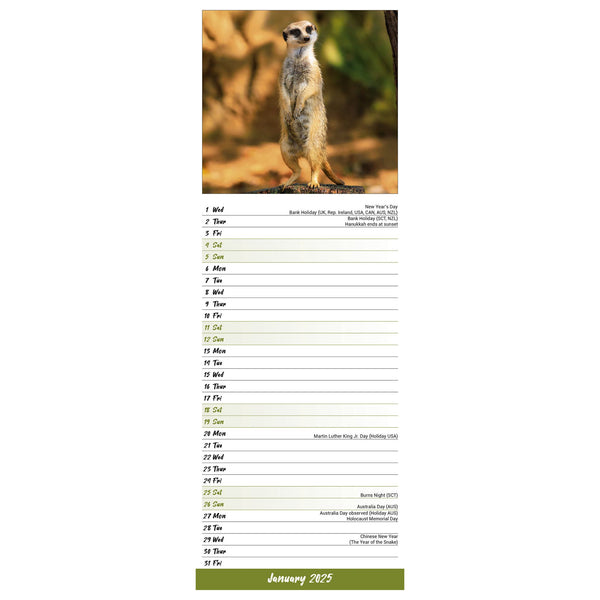 Meerkats Calendar 2025 Slimline