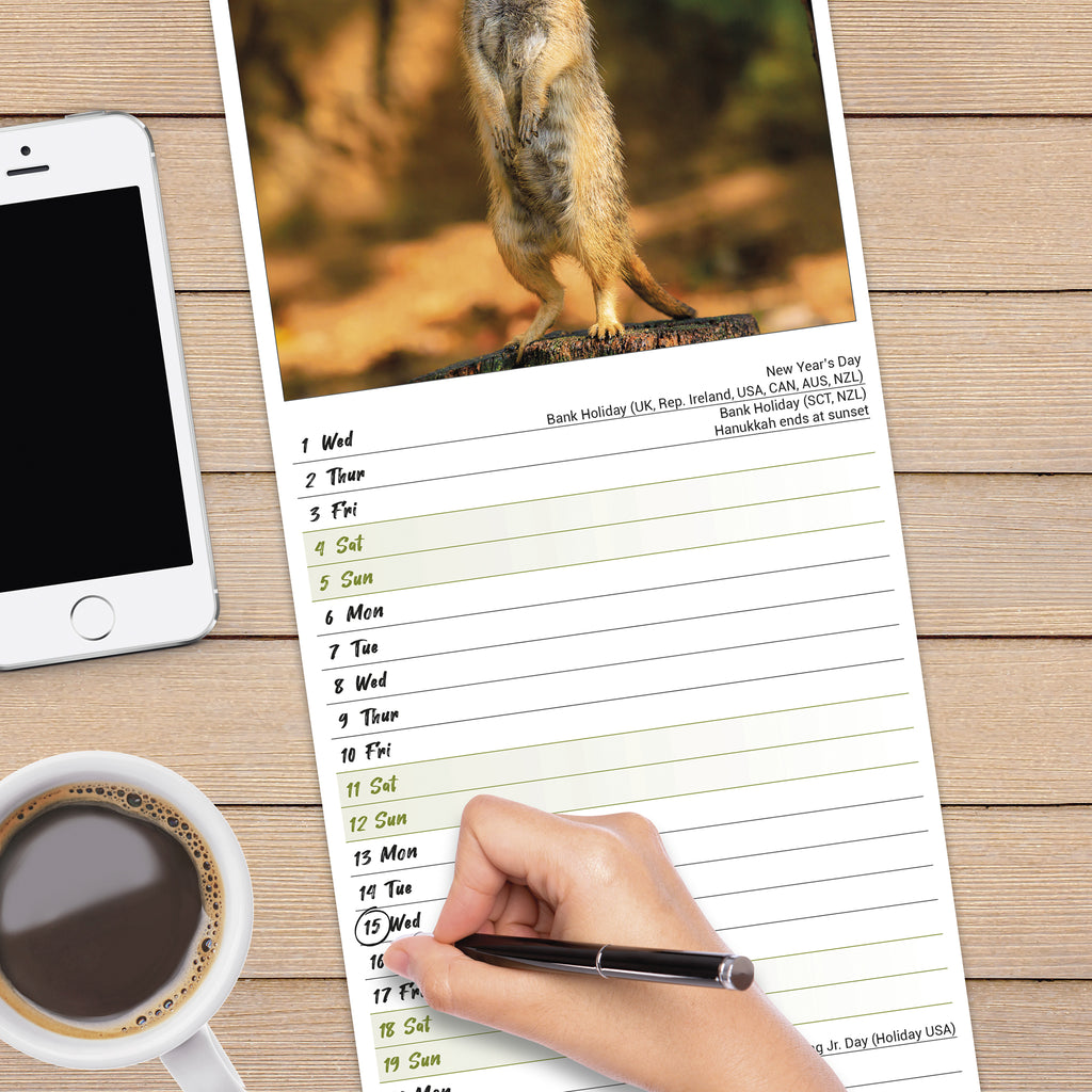 Meerkat Calendar 2025