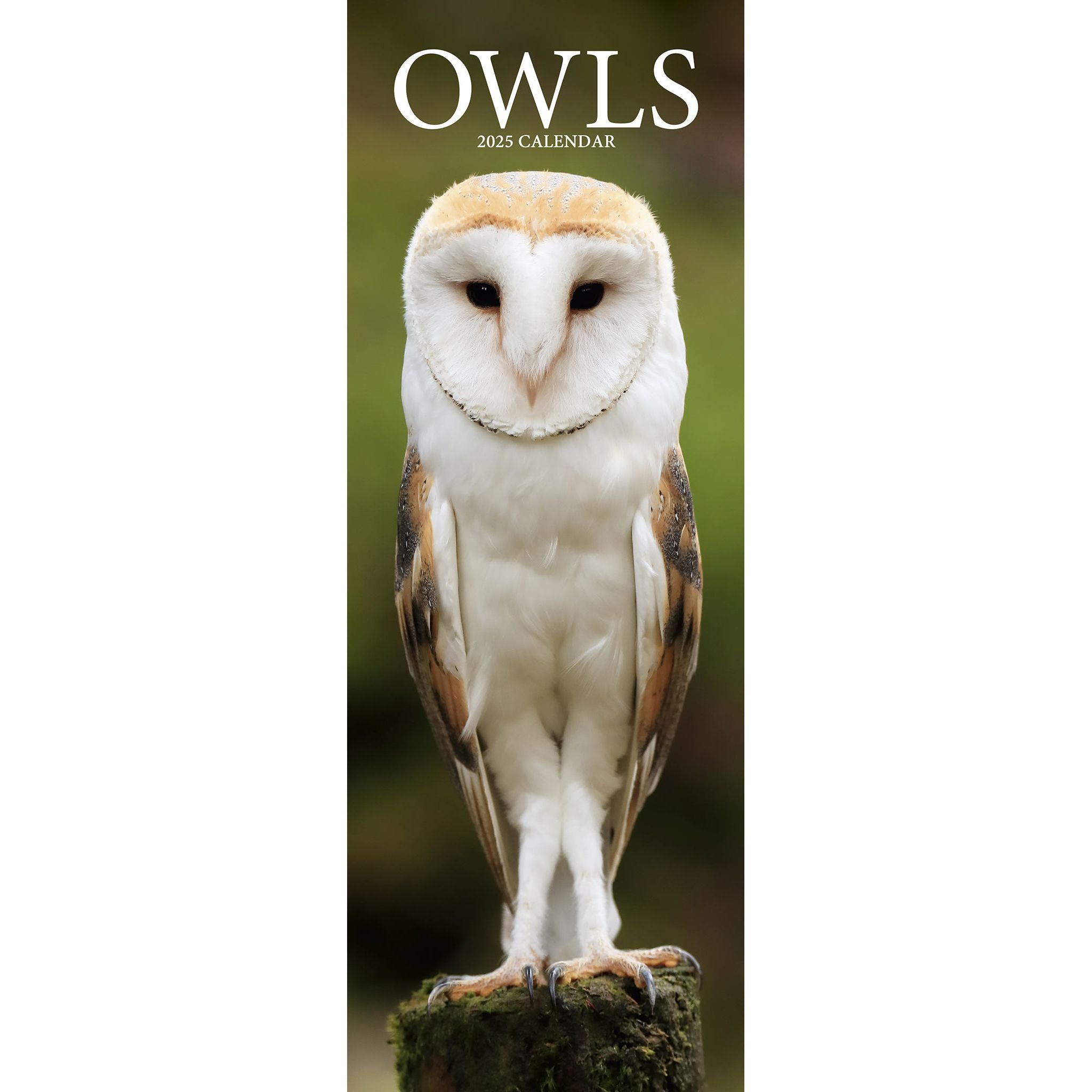 Owls Calendar 2025 Slimline Avonside Publishing Ltd