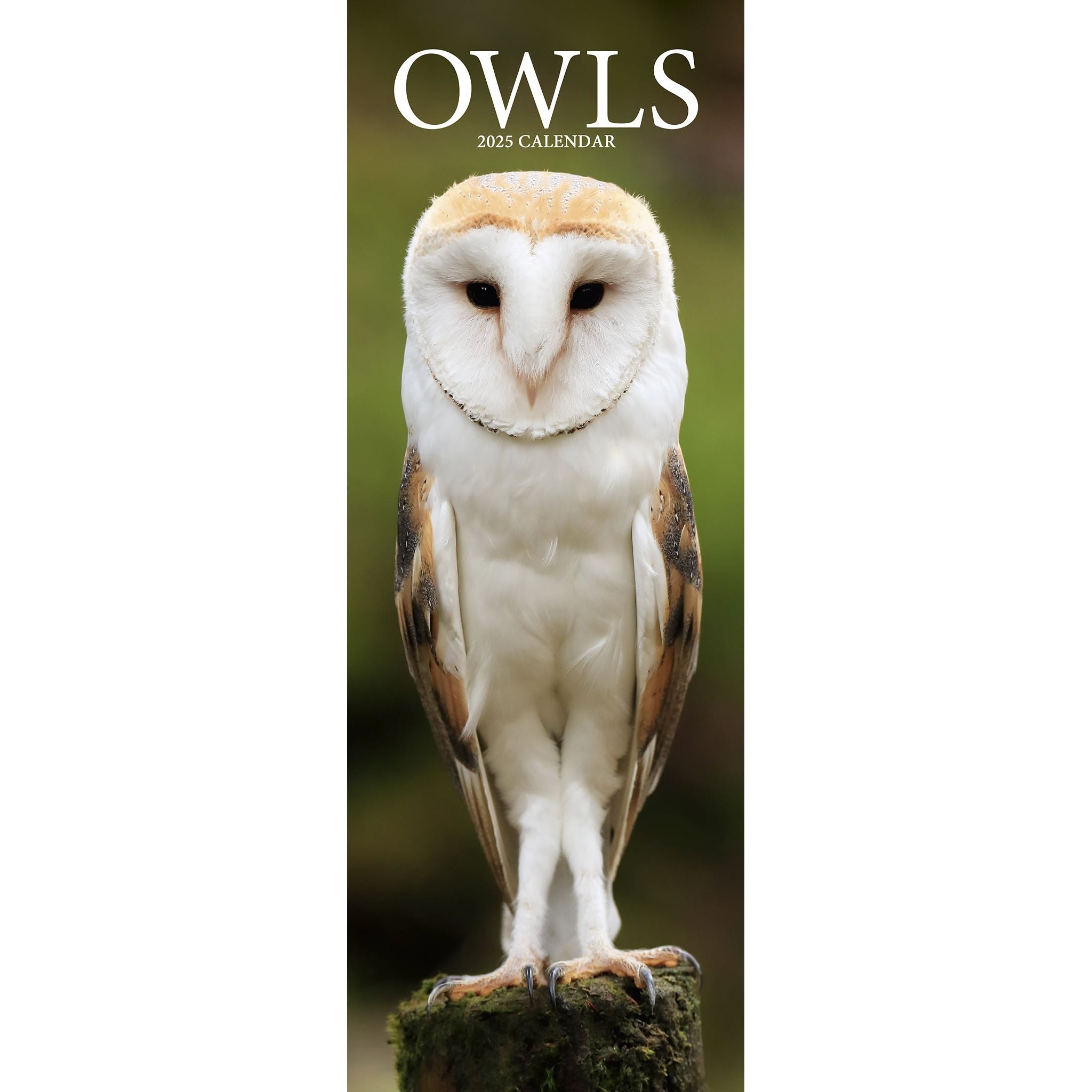 Owis Calendar 2025 21 Images References :