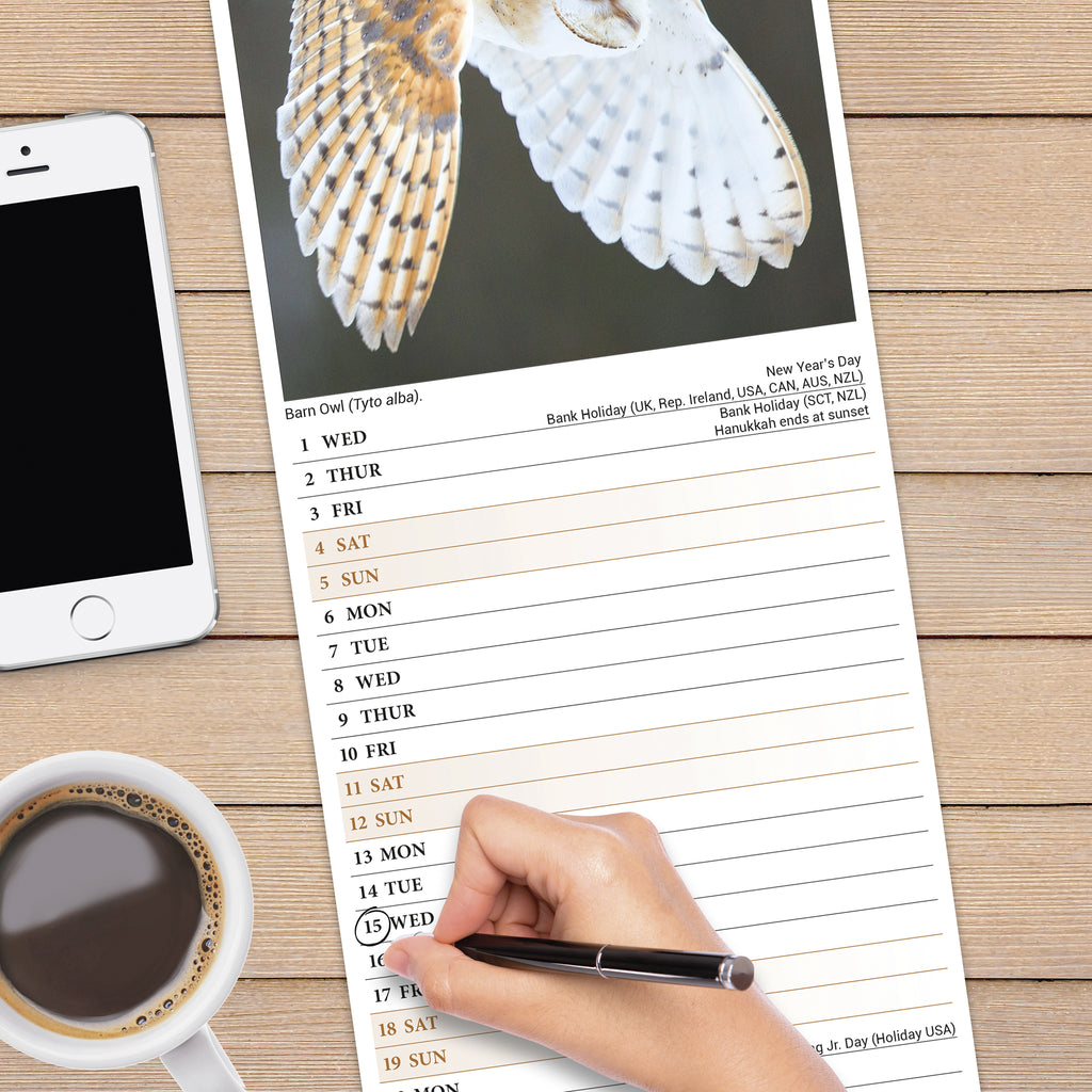 Owls Calendar 2025 Slimline Avonside Publishing Ltd Slimline Calendar 2025 With Lines