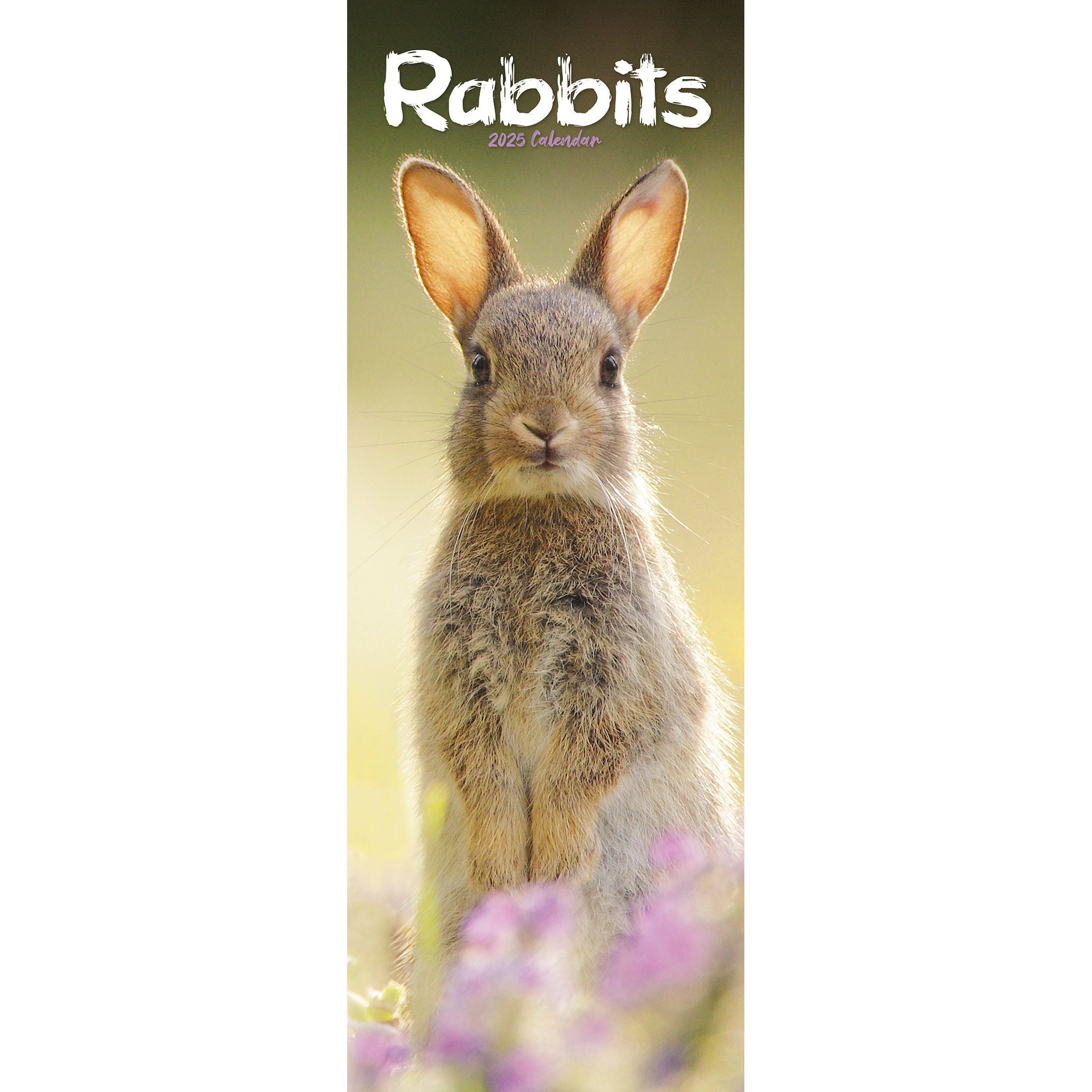 Rabbits Calendar 2025 Slimline Avonside Publishing Ltd