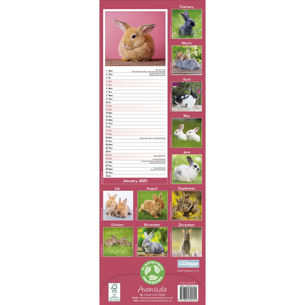 Rabbits Calendar 2025 Slimline Avonside Publishing Ltd