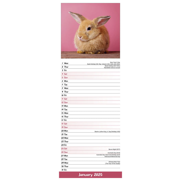 Rabbits Calendar 2025 Slimline