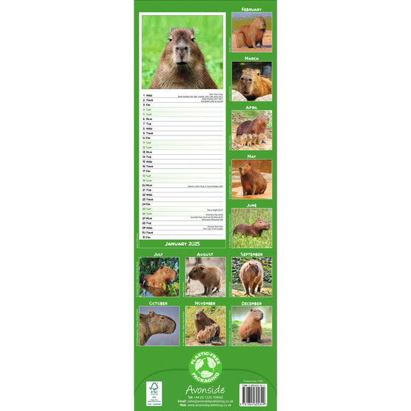 Capybara Calendar 2025 Slimline