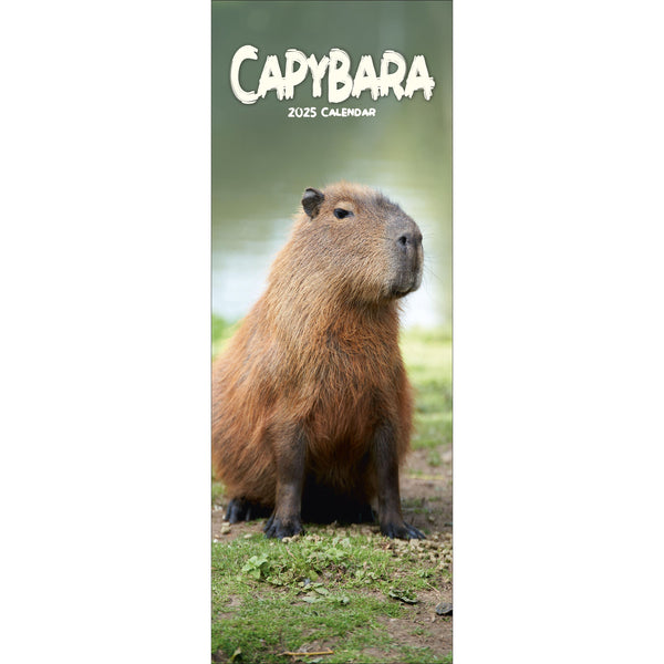 Capybara Calendar 2025 Slimline