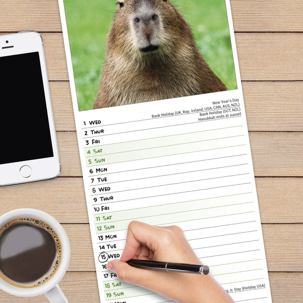 Capybara Calendar 2025 Slimline