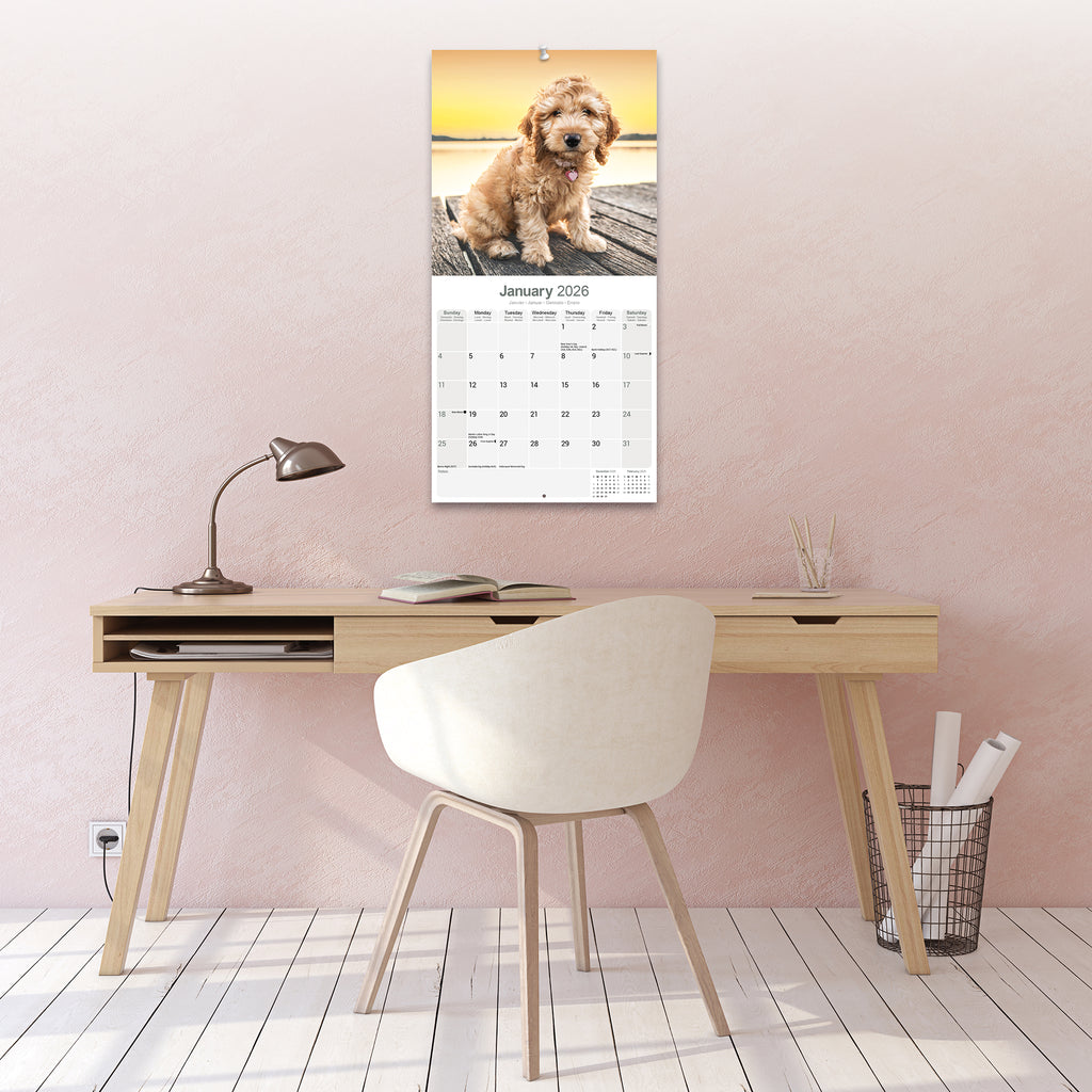 Cockapoo Calendar 2026 – Avonside Publishing Ltd