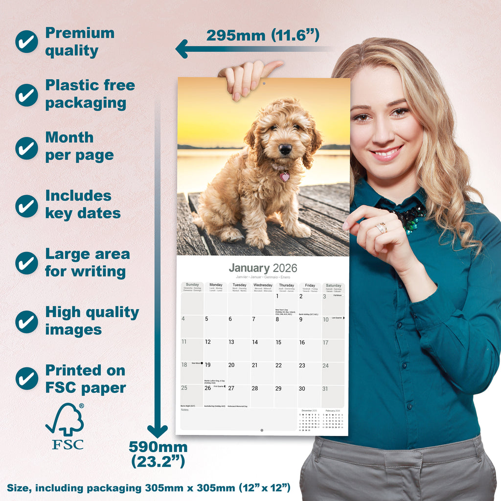Cockapoo Calendar 2026 – Avonside Publishing Ltd